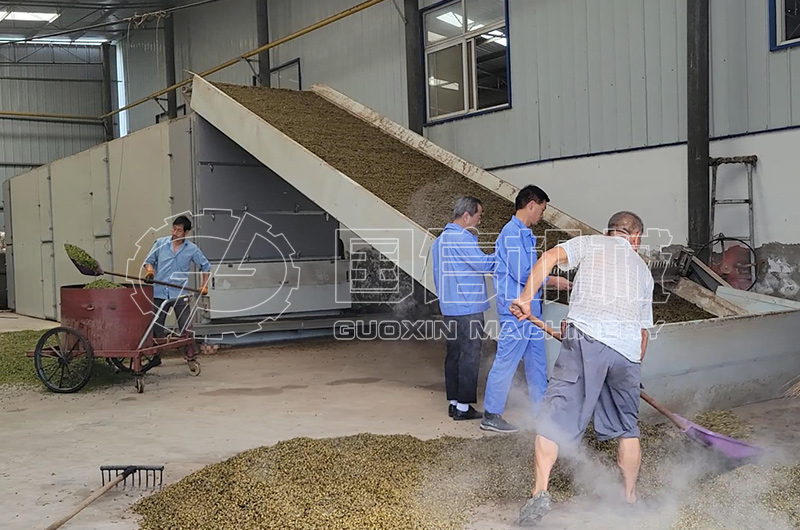 三門峽盧氏連翹烘干現場